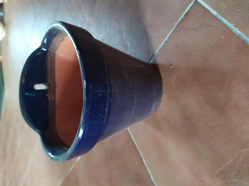 Imagen principal Maceta colgar cerámica(azul, verde, Montería) 