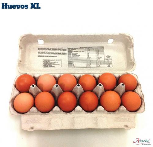 Imagen principal Huevos XL