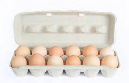 Imagen principal Huevos XL Pak.x 12 unidades. 