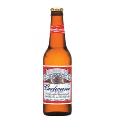 Imagen principal Budweiser Caja 24 uds