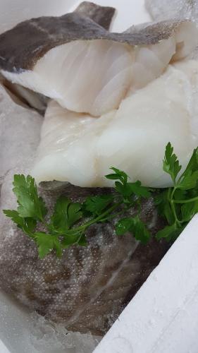 Imagen principal BACALAO