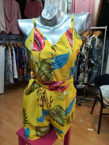 Imagen principal Mono Corto