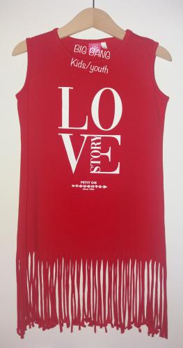 Imagen principal VESTIDO FLECOS