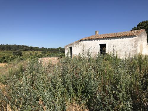 Imagen principal FINCA RUSTICA EN VENTA EN HINOJOS