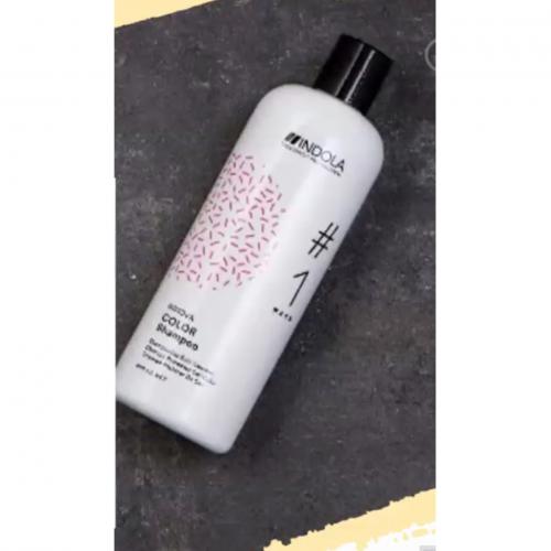 Imagen principal Champú protector del Color 300ml.
