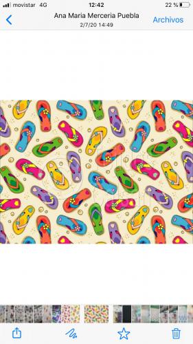 Imagen principal Tela chanclas