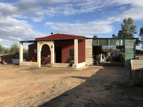 Imagen principal FINCA RUSTICA EN VENTA EN PILAS