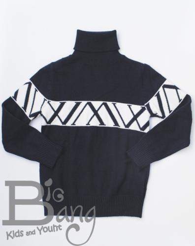 Imagen principal JERSEY CUELLO VUELTO AZUL