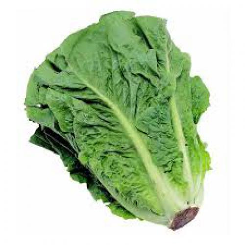 Imagen principal Lechuga unidad. 
