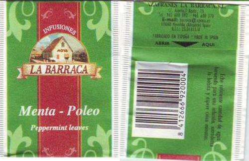 Imagen principal Menta Poleo Infusion 100 unidades. 