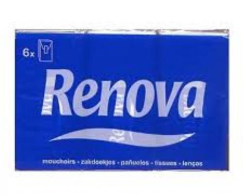 Imagen principal Pañuelo Renova 6 unidades.