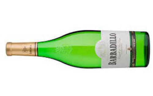 Imagen principal Vino Barbadillo Castillo San Diego de 750 ml.
